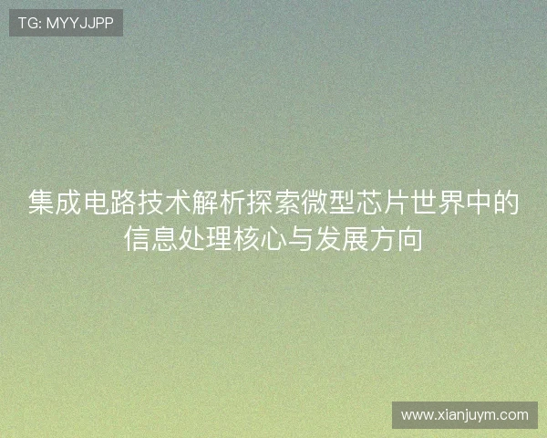 集成电路技术解析探索微型芯片世界中的信息处理核心与发展方向
